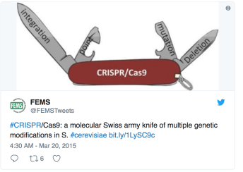 Screen Shot 2017-12-29 at 7.26.31 PM.png